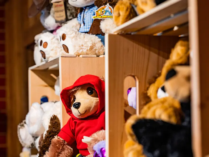 A Teddy Bear, dressed in a red hoodie sits on a shelf surrounded by other custom stuffed animals at Teddy's Bears in Medora, ND.