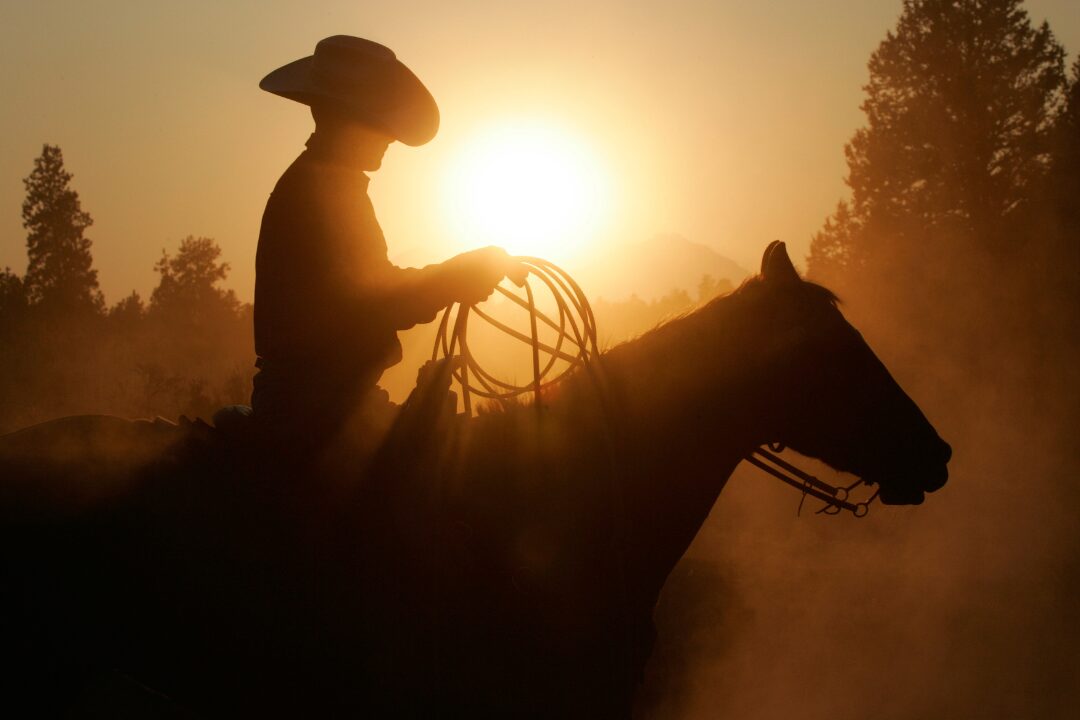 Cowboy rides horse at golden sunset, representing an event for Cowboy poetry in Medora, North Dakota