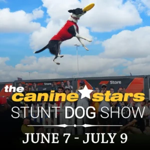 2023-Variety-Act-Social-Stunt-Dog-Show-1300x1300