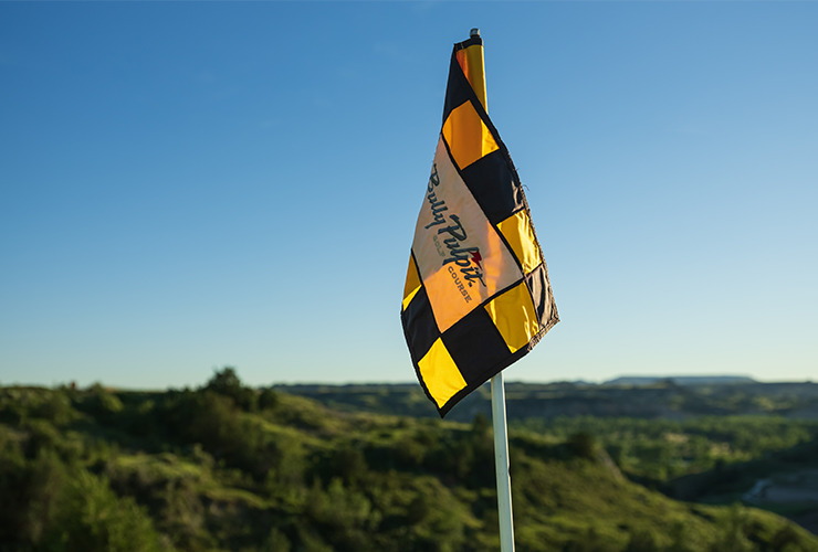 golf pin flag
