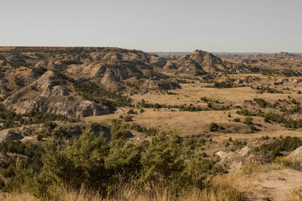 North Dakota Badlands, Theodore Roosevelt National Park, Medora, ND