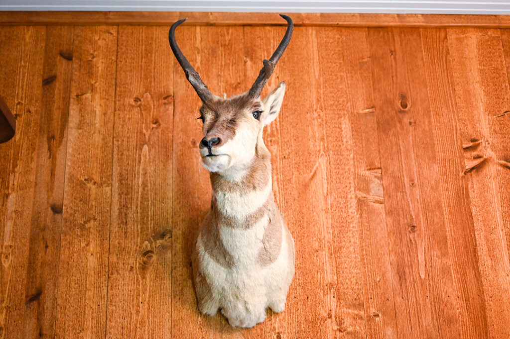 Ferris Inn Feature 1