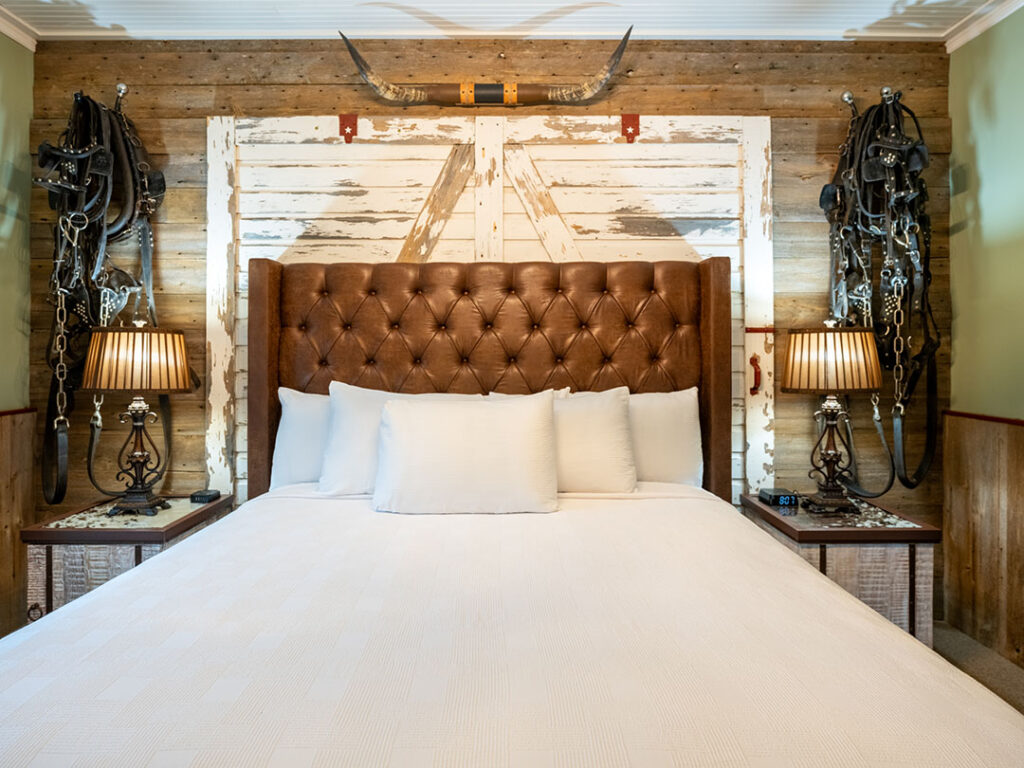 Ferris Inn Dakota Badlands Room Feature 16