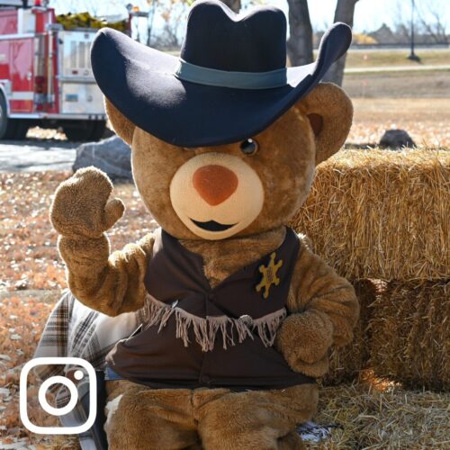 Website UGC Square 2 fall