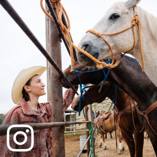 Website UGC Square 9 Western