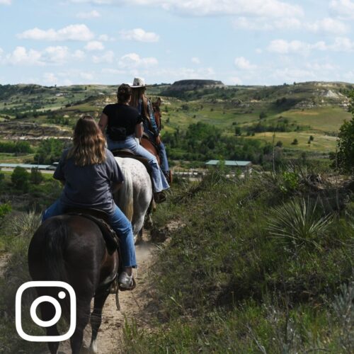 Website UGC Square Attractions 3