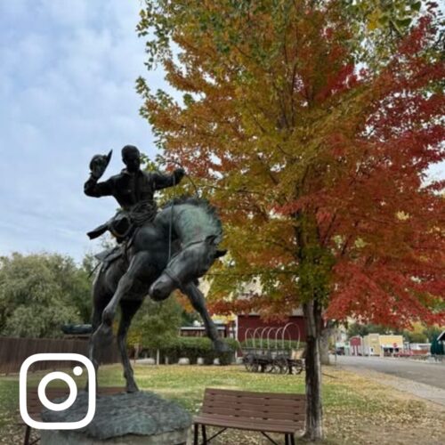 Website UGC Square History 3