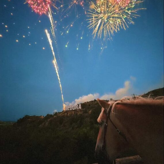 Star Wrangled -credit-Winnie-Weninger