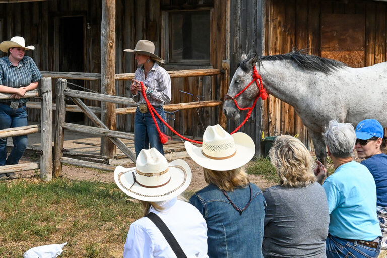 Ladies Horse Camp Feature 11