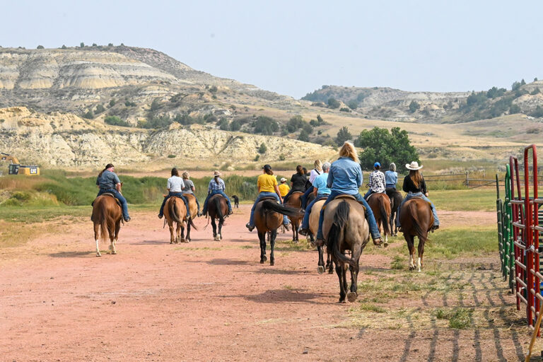 Ladies Horse Camp Feature 14